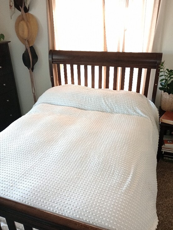 Morgan-Jones Other - Morgan-Jones Chenille Blanket